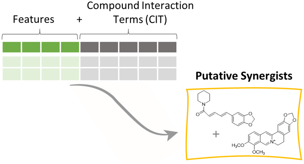 Interaction metabolomics workflow: LC-MS feature matrix augmented with compound interaction terms (CITs) fed into PLS regression to identify putative synergists — piperine and berberine — from a natural product mixture