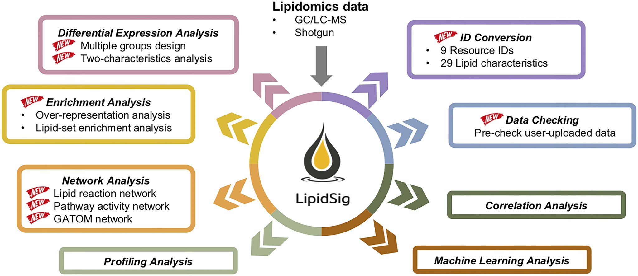 LipidSig 2.0 graphical abstract: analysis modules including differential expression, enrichment, network, profiling, correlation, machine learning, ID conversion, and data checking