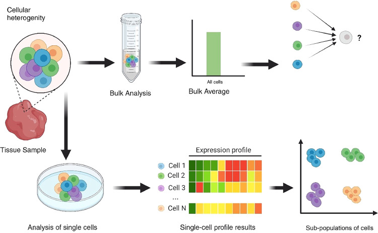 Cell-type-resolved lipidomics: distinct immune and stromal cell populations resolved for individual lipidome profiling